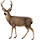 https://www.erev2.com/public/game/resource/Deer.png